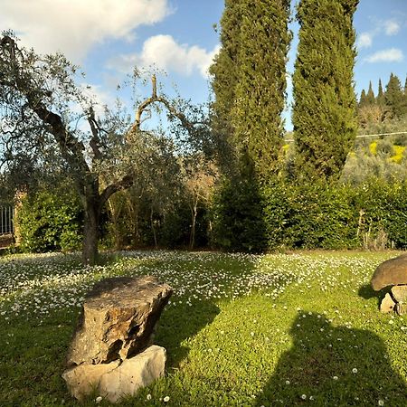 Il Paretaietto Apartment Certaldo Luaran gambar