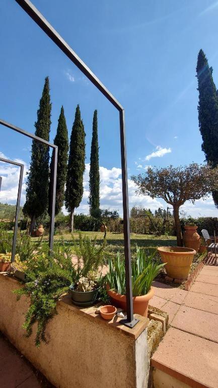 Il Paretaietto Apartment Certaldo Luaran gambar